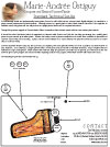 Standard Technical Set-Up